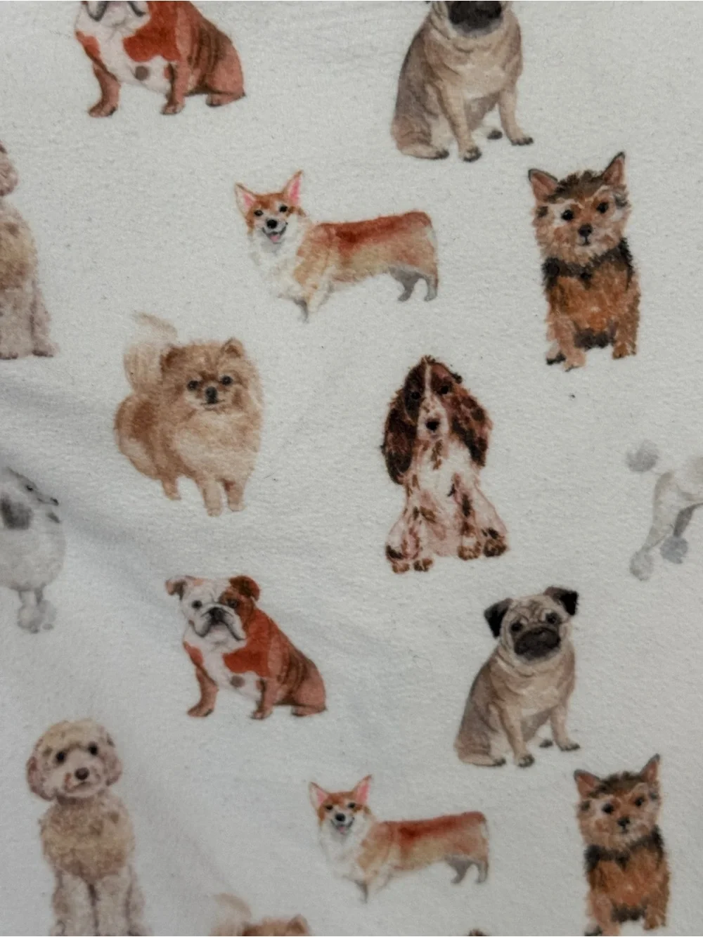 Caden Lane puppy footies dogs best friends puppies zippy baby newborn neutral